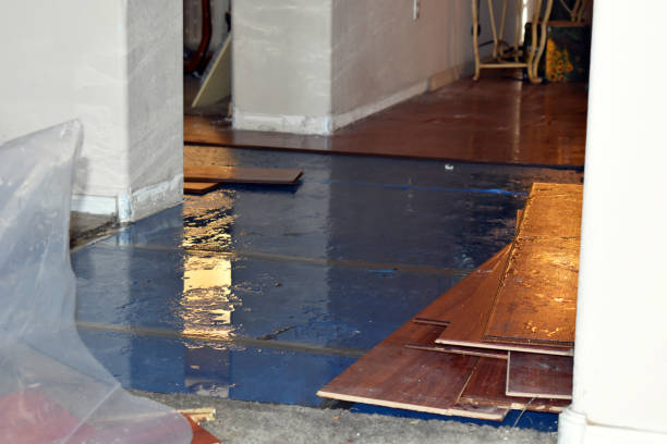 Professional Burst Pipe Cleanup technician working in Pine Bluffs, WY