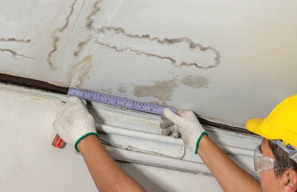 Reliable Burst Pipe Cleanup contractor in Pine Bluffs, WY by Water Damage Irwin